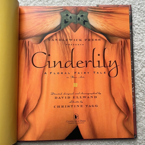 Book:  Cinderlily:  A Floral Fairy Tale - Picture 5 of 12